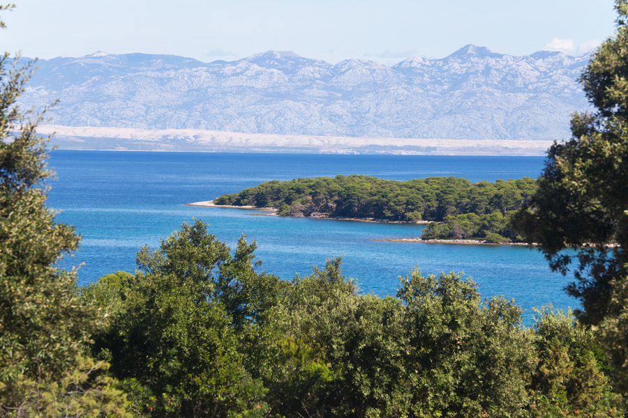 cove_jazi_on_island_molat
