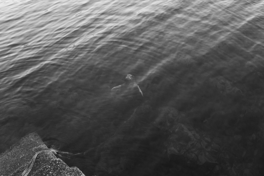 inishtrahull_seal_in_water