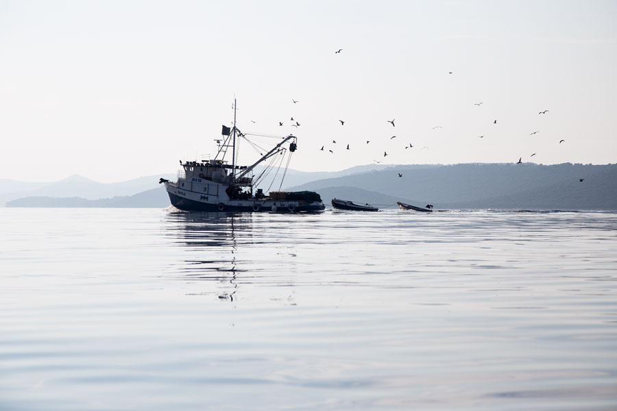 island_life_in_croatia_on_molat