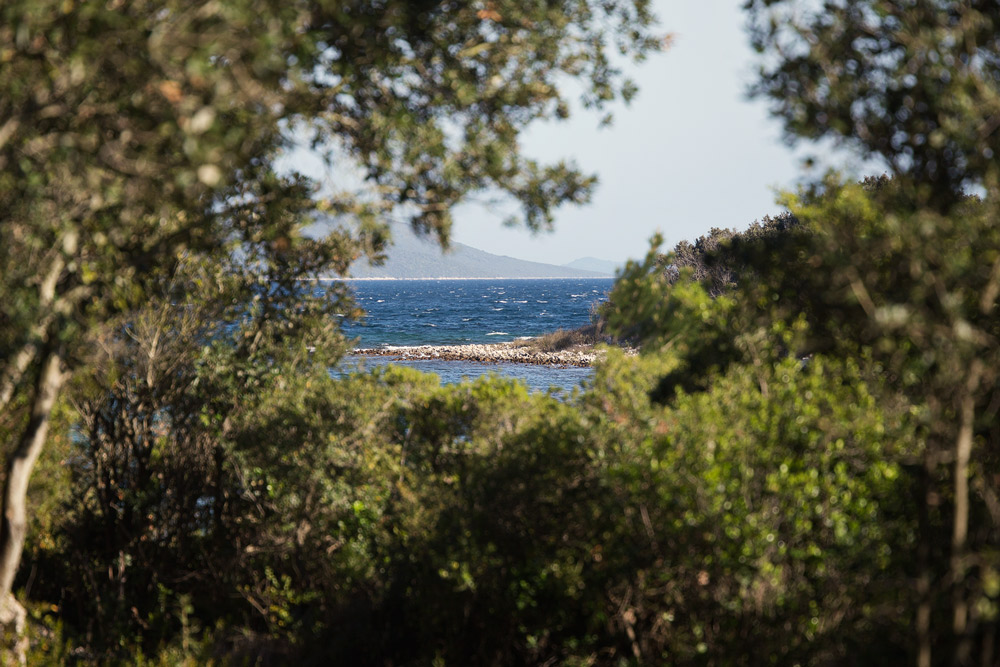 island adventure