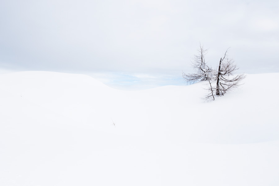 powders snow view