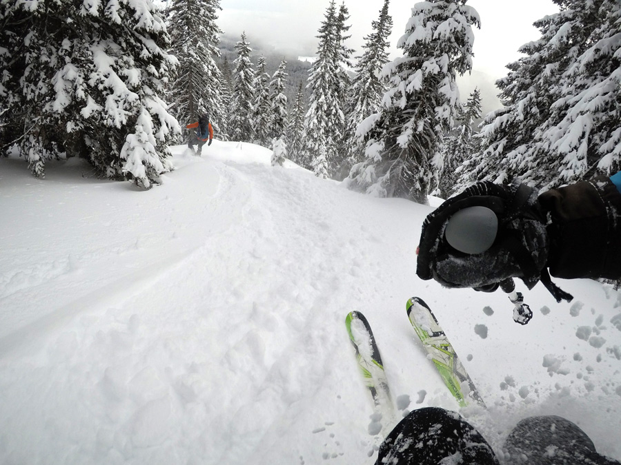 powder snow skiing