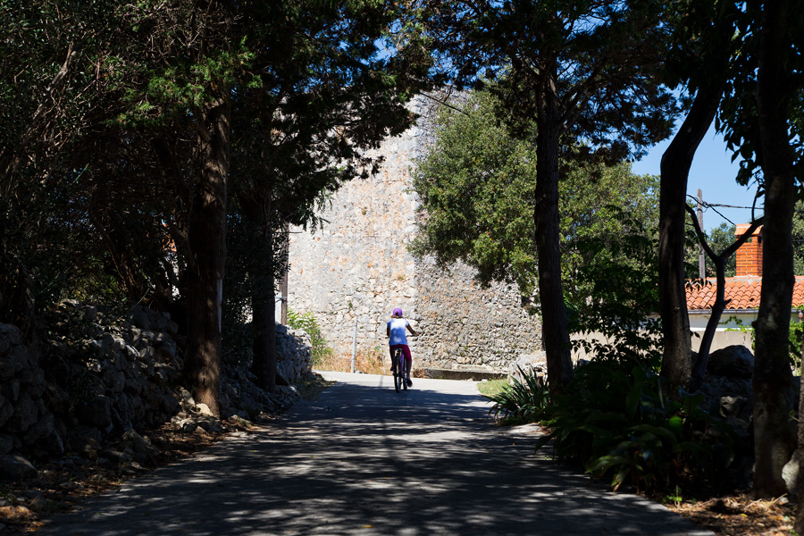 shade_of_the_oak_on_molat