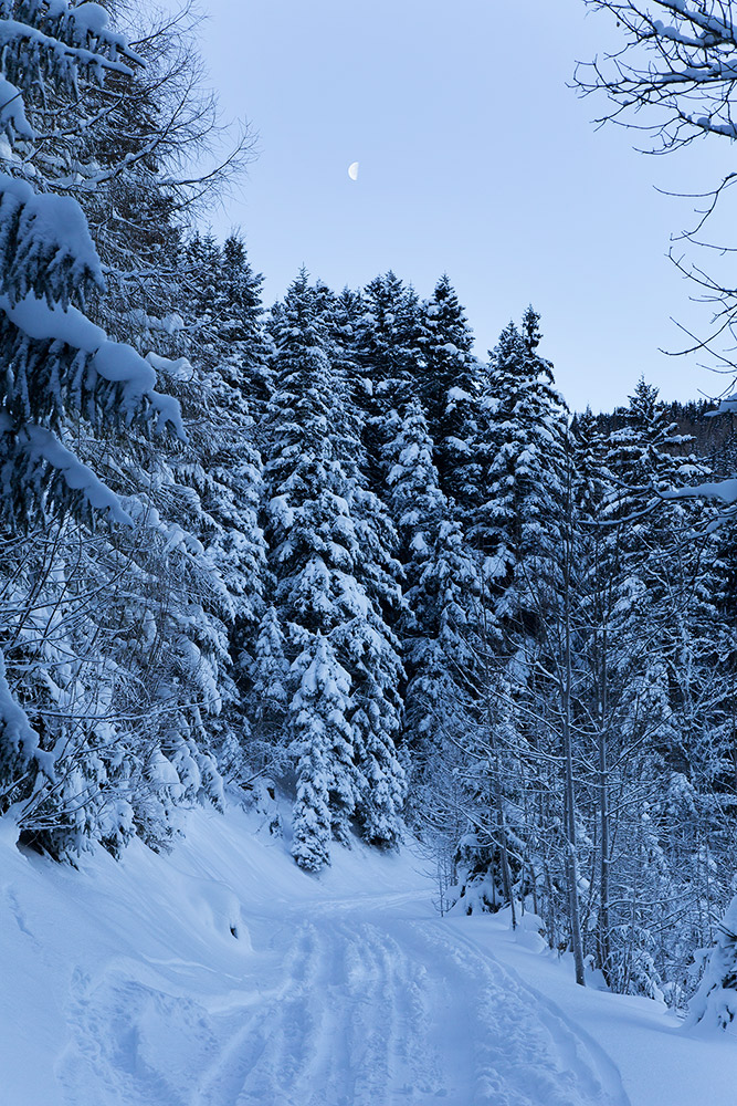 skitouring_active_holiday_in_the_alps