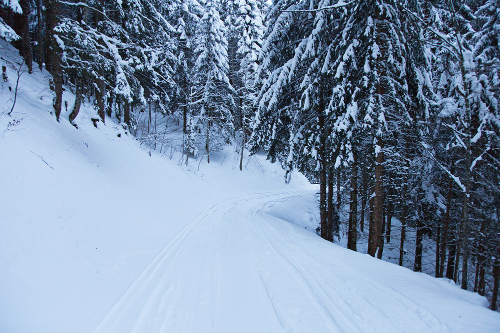 ski touring climb in the alps