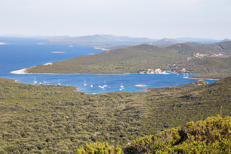 village_zapuntel_on_island_molat