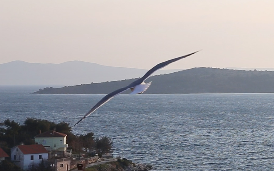 winter_bura_in_croatia